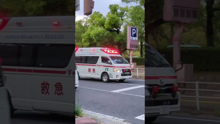 直AがTCDサイレンを響かせ緊急走行！ #姫路市消防局 #緊急走行 #おすすめ#救急車