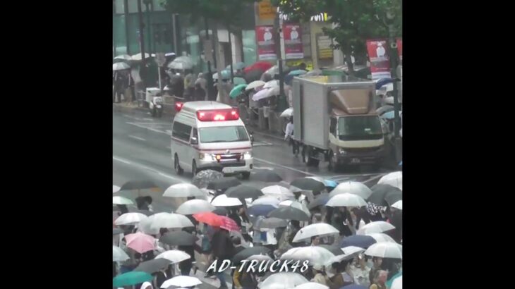 サイレン鳴らし緊急走行する救急車の前を、聞こえない？BBAが小走りに横断！
