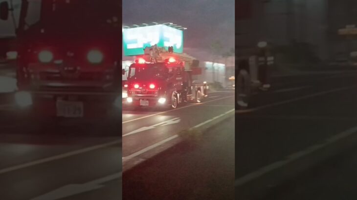 【緊急走行】滅多に出ることないSK車が単体で出場!鹿児島市消防局南本SK
