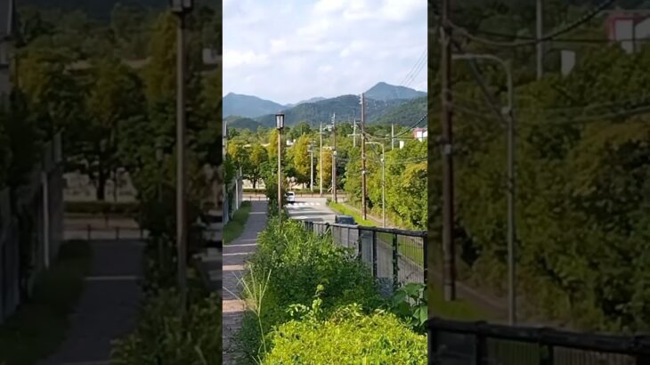 🚨警察車両🚨赤色灯🚨兵庫県警🚨　#short #short #shortsfeed