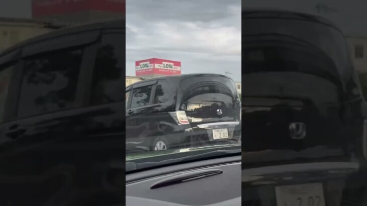 🚨パトカー🚨パトロール🚨和歌山県警🚨 #short  #shorts