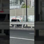 🚨警察車両🚨兵庫県警🚨　#short #shorts