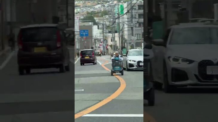 衝撃😱😱😱とんでもない光景😨😨😨😨😨😨😨 #short #shorts #shortsvideo #shortsfeed