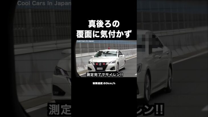 真後ろの覆面パトカーに気付かず…‼️ #shorts