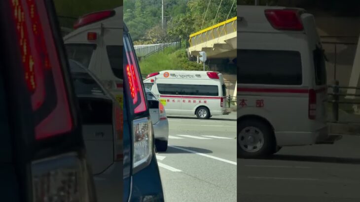 🚨交差点を緊急走行🚨救急車🚨響き渡るサイレン🚨　#shorts #short