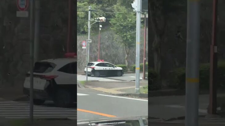 🚨パトカー🚨兵庫県警🚨　#shorts #short
