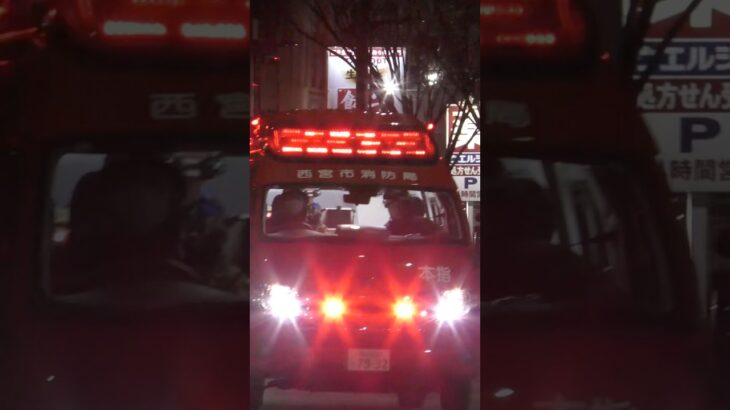 【緊急走行】西消本部指揮、火災現場へ緊急走行！【西宮市消防局】#shorts #short #ショート #消防署 #消防車 #fire #firefighter #サイレン #short #ショート