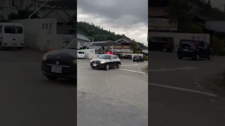 🚨ミニパト🚨兵庫県警🚨赤色灯🚨　#shorts #short #shortsfeed