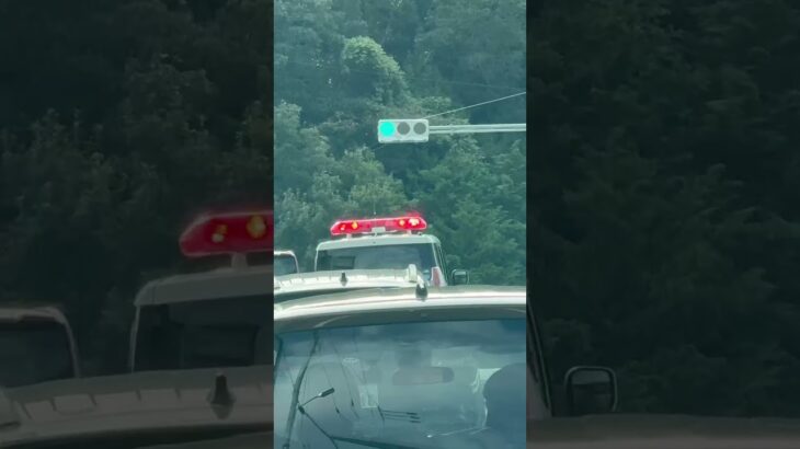 🚨パトカー🚨兵庫県警🚨　#shorts #short #shortsfeed #shortsvideo