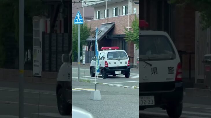 🚨ミニパト🚨パトロール🚨兵庫県警🚨　#shorts #shortsfeed #shortsvideo