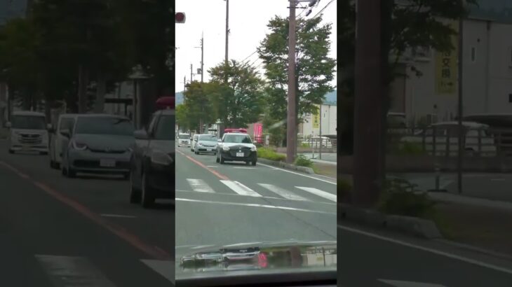 🚨スイフトパトカー🚨ミニパト🚨兵庫県警🚨#shorts #shortsfeed #shortsvideo