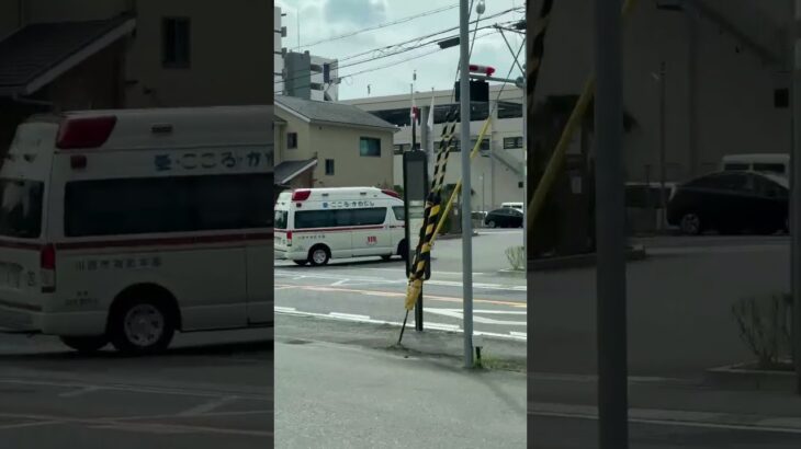 🚨救急車帰還🚨川西市消防本部🚨　#shorts #shortsfeed #shortsvideo #shortsyoutube #救急車
