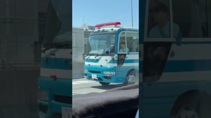 🚨警察車両🚨兵庫県警🚨　#shorts #shortsfeed #shortsvideos