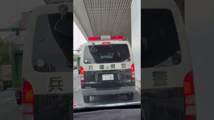 🚨警察車両🚨兵庫県警🚨赤色灯🚨　#shorts #shortsvideo #shortsfeed