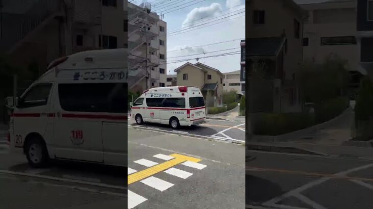 🚨救急車🚨川西市消防本部🚨　#shorts #shortsvideo #shortsfeed