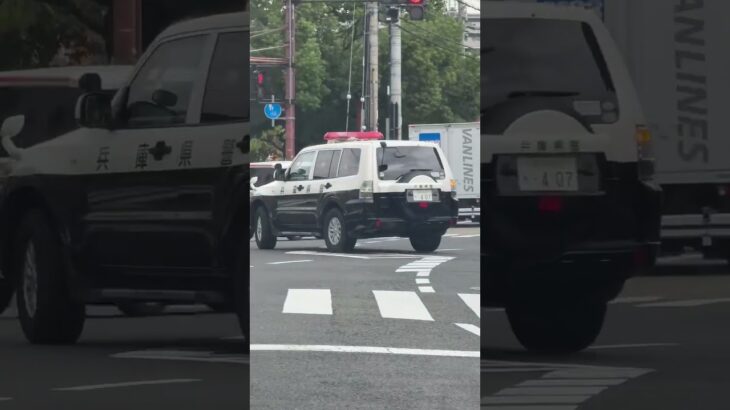 🚨レアな警察車両🚨　#shorts #shortvideo #short