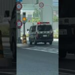 🚨警察車両🚨赤色灯🚨兵庫県警🚨　#shorts #shortvideo #shortsfeed