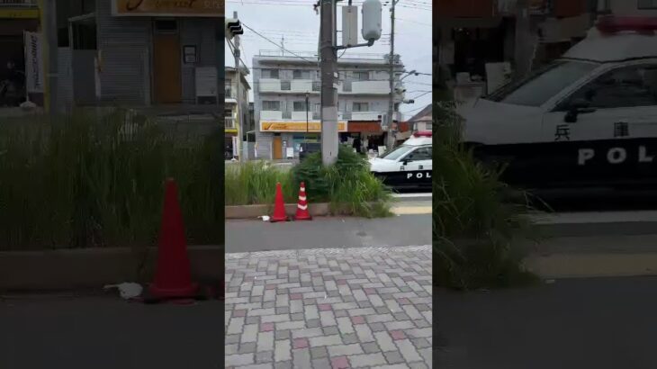🚨パトカー🚨兵庫県警🚨パトロール🚨 #shortvideo #short #パトカー