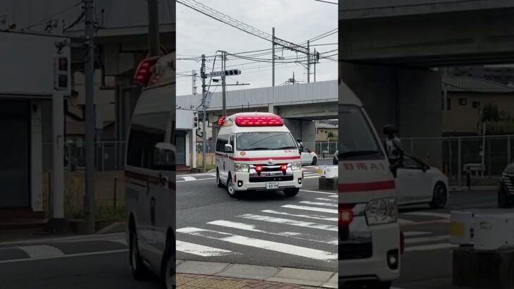 野田市消防本部　中央分署　救急　緊急走行