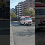 【緊急走行】熱中症急増中！鹿児島市消防局中央本署救急隊