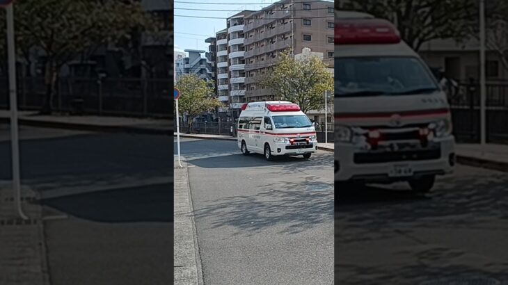 【緊急走行】熱中症急増中！鹿児島市消防局中央本署救急隊