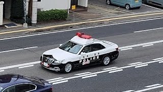 パトカー　緊急走行