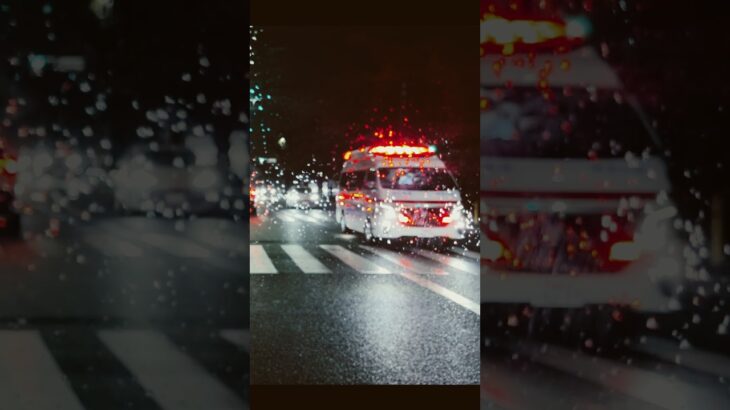 雨の夜の緊急走行 パラメディック【柳橋救急隊・大和市消防本部】