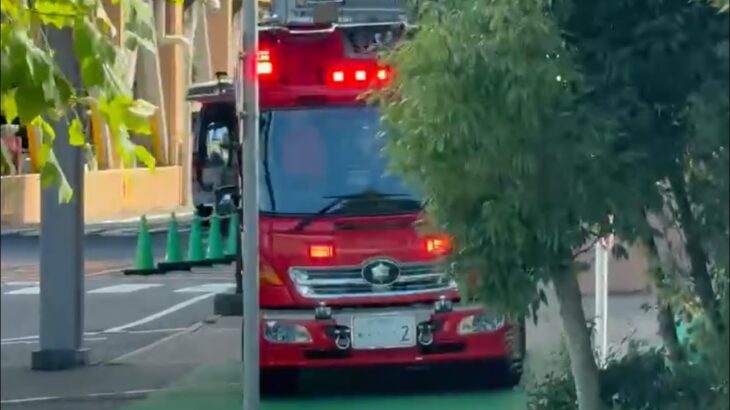 🚨対応中のレスキュー車🚨赤色灯🚨