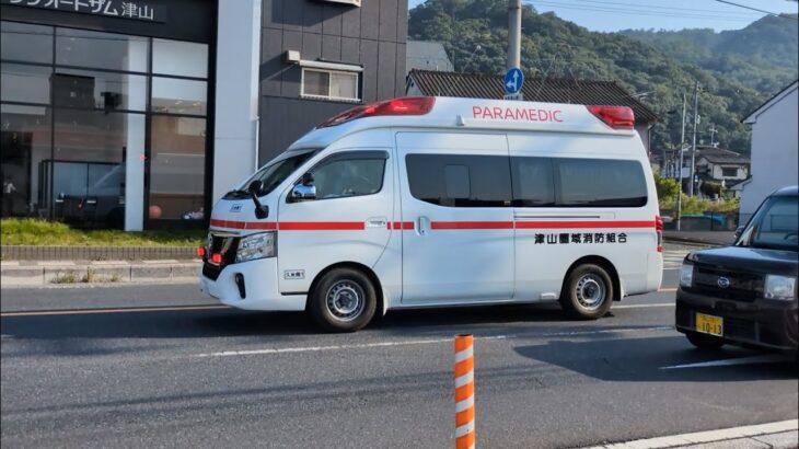 交差点進入サイレン全開の緊急走行