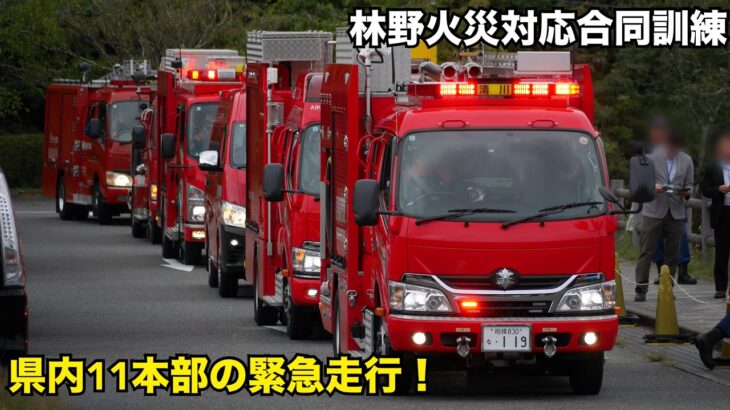 【緊急走行！】 宮ケ瀬で林野火災発生！ 神奈川県下応援部隊 緊急出場！ 相模原市消防局 厚木市消防本部 小田原市消防本部 伊勢原市消防本部