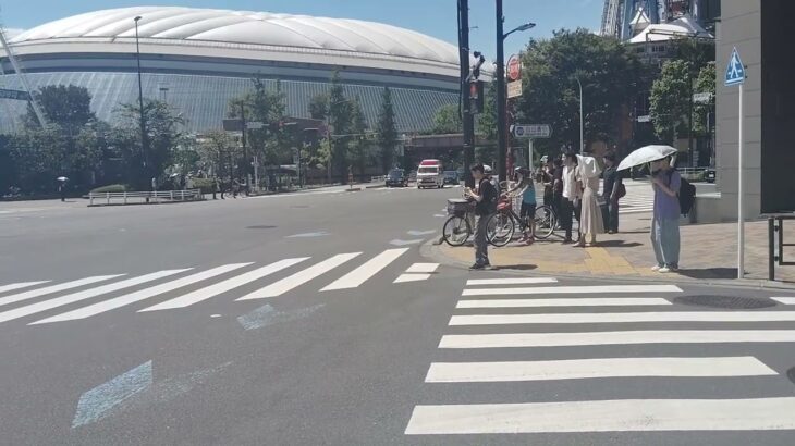 東京消防庁 救急車 緊急走行