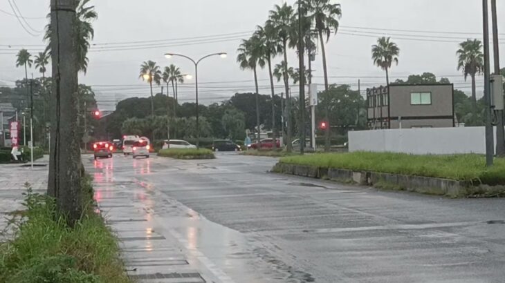 【緊急走行】転院搬送！鹿児島徳洲会病院ドクターカー