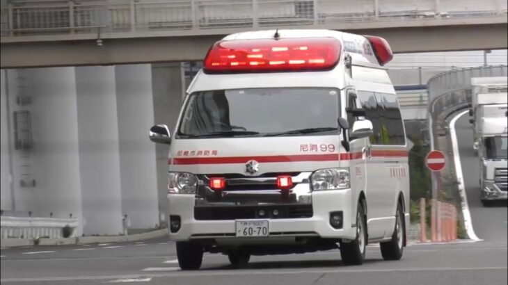 🚨響き渡るサイレン🚨救急車🚨緊急走行🚨尼崎市消防局🚨赤色灯🚨サイレン🚨
