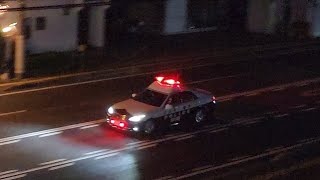 パトカー　緊急走行
