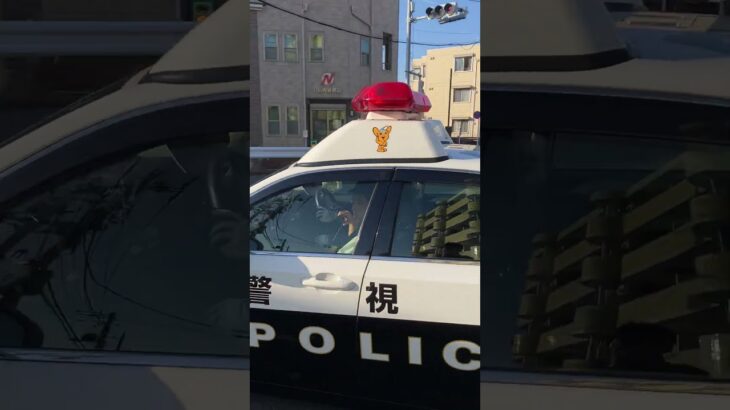 警視庁パトカー、緊急走行