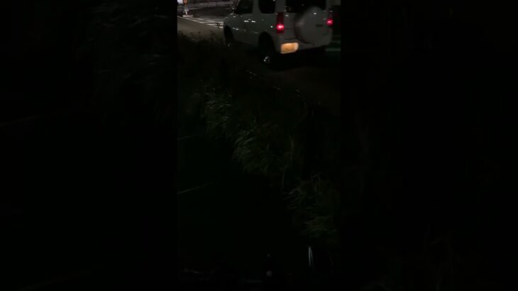 住宅モードサイレンで緊急走行【湘南鎌倉総合病院 救急車】