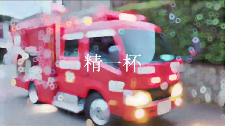 姫路を守るヒーロー！#緊急走行 #姫路医療センター#ドクターカー#救急車#消防車#おすすめ#バズれ#赤色灯