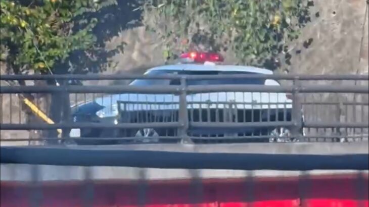 🚨ミニパト🚨パトロール🚨兵庫県警🚨パトカー🚨