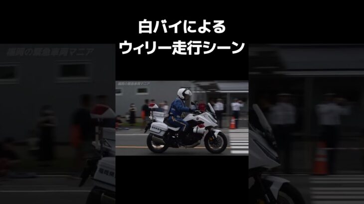 【白バイ】白バイによるウィリー走行シーン