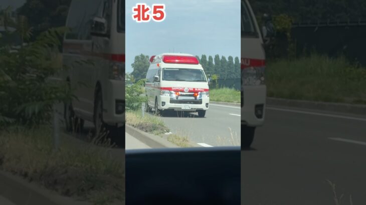 【緊急走行】救急車!札幌市消防局 北消防署#緊急走行#救急車#札幌市消防局