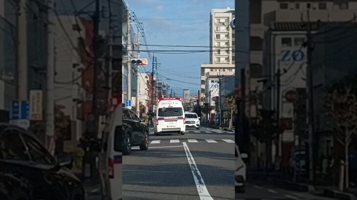 【緊急走行】高速点滅!鹿児島市消防局高度救急隊ドクターカー