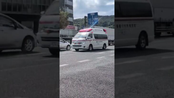 薩摩川内市消防局 中央消防署 中央救急３ #救急車