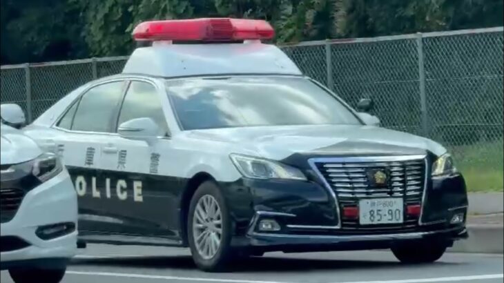 🚨パトカー🚨パトロール🚨兵庫県警🚨