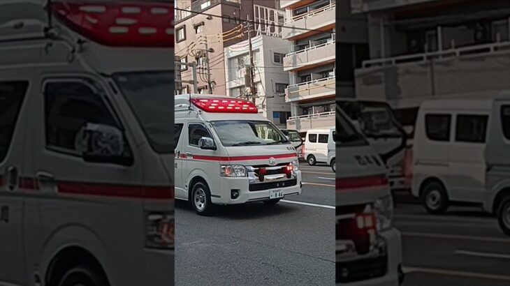 【緊急走行集】ハイメディック！鹿児島市消防局救急車
