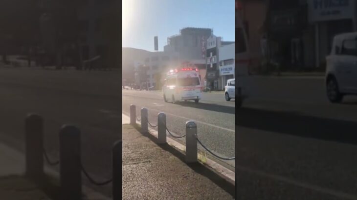 薩摩川内市消防局 中央消防署南部分署 南部救急 #救急車