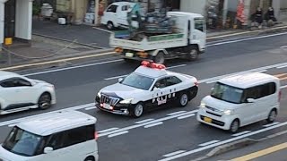 パトカー　緊急走行
