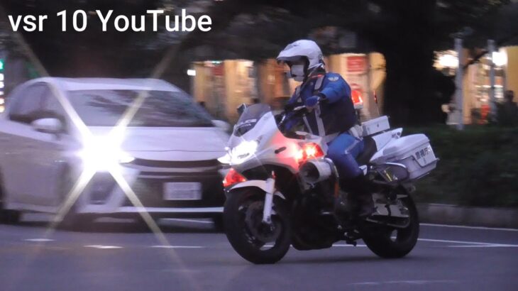 白バイが何度も警告してるのにガン無視した結果！！右折禁止取り締まり•止まる気0%！！一時停止無視車両を白バイが猛追！！•パトカーの目の前で歩行者妨害！•家族連れ車両が白バイに捕まる！等