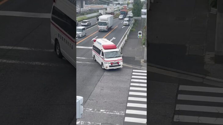 【ハーモニックサイレン🚨】春日部市消防本部　救急車。救急浜川戸1。緊急走行シーン！