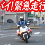 【怒涛のサイレン！】白バイ緊急走行10連発！＋交機パトカーおまけ付きでスッキリ！【信号無視取り締まり】