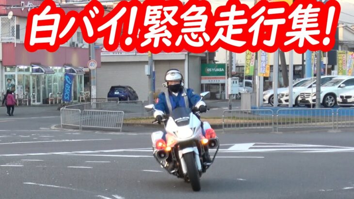 【怒涛のサイレン！】白バイ緊急走行10連発！＋交機パトカーおまけ付きでスッキリ！【信号無視取り締まり】
